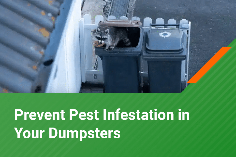 prevent pest infestation in dumpsters